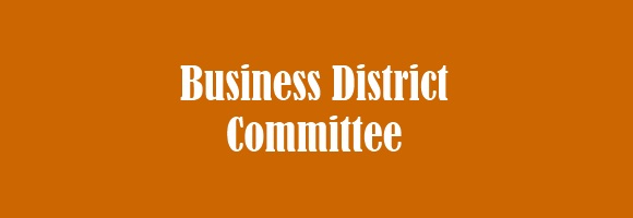 Business District Committee