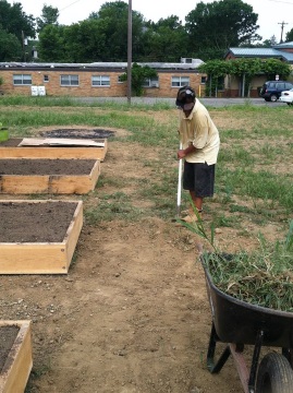 Westwood Community Gardens